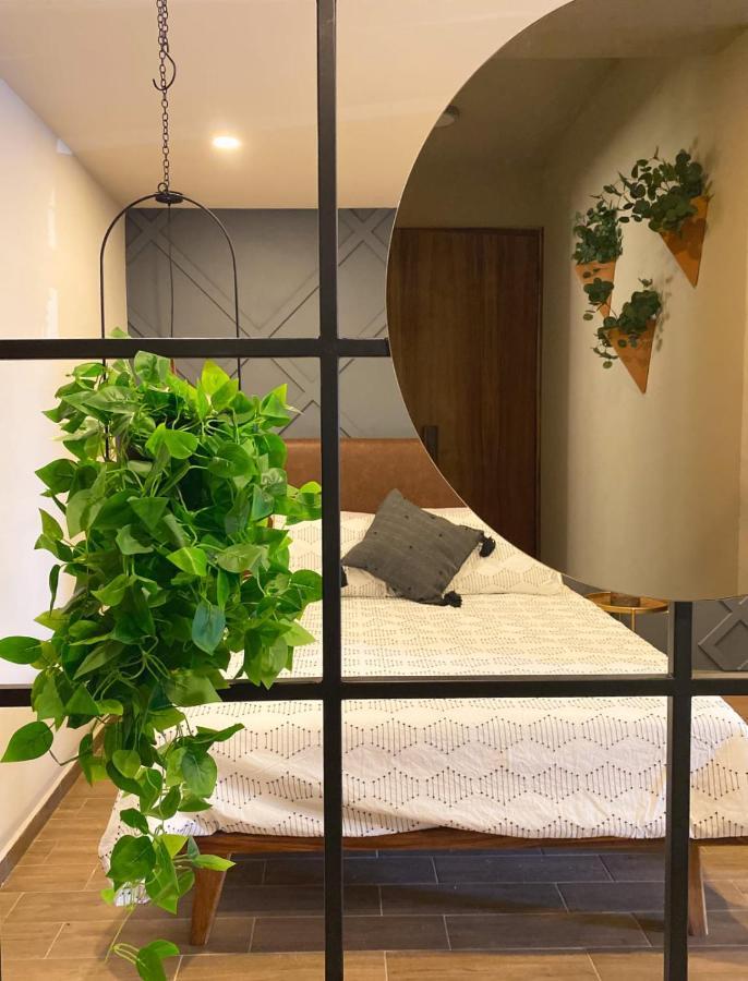 Layoo, Tu Casa En Oaxaca 101 Daire Dış mekan fotoğraf